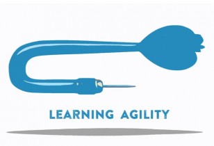 Learning Agility 